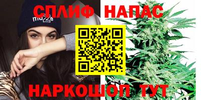 кокс Можайск