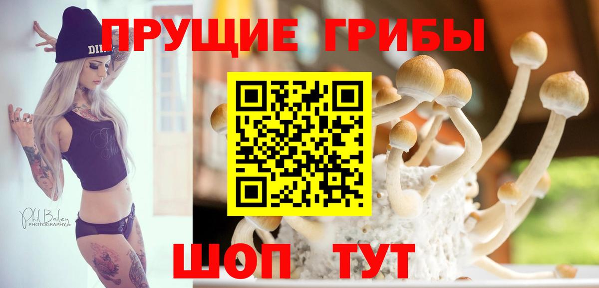 Псилоцибиновые грибы прущие грибы Чайковский