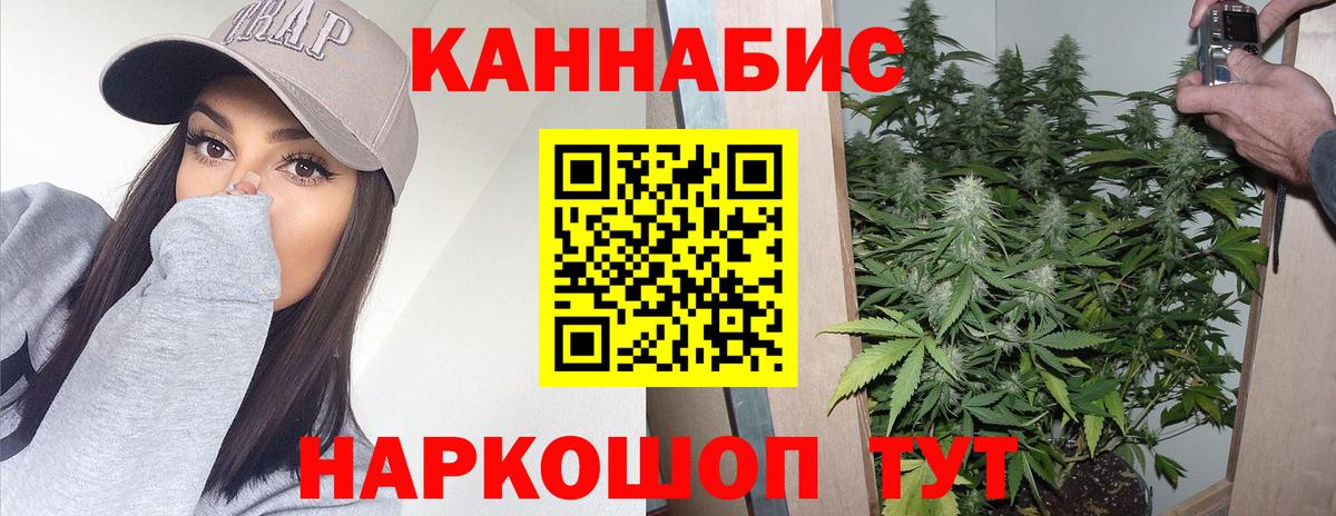 Бошки Шишки тримм  Вход с VPN  Канабис марихуана  Шишки марихуана Bruce Banner  Чайковский  Марихуана Amnesia 
